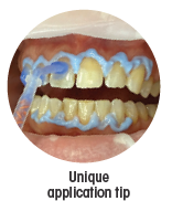 Pola Rapid Application Tip Blue Gel Unique